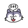 Tamochi 9月アレやコレや【ドアの人🚪】 的头像