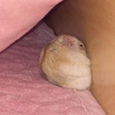 _bi_bitch's profile picture
