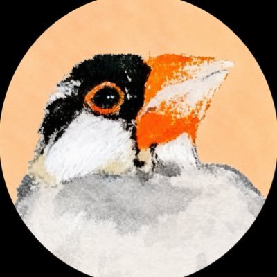okaericoma's profile picture