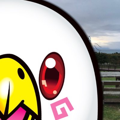 eaglewashiwashi's profile picture