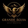Фото профиля GRANDE AGUİA