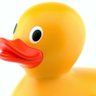 Duck 的头像
