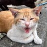 Profilbild von JackSam