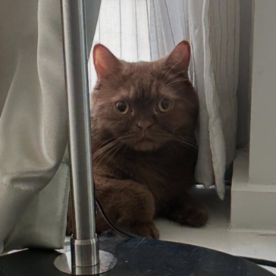 N_Joiner's profile picture