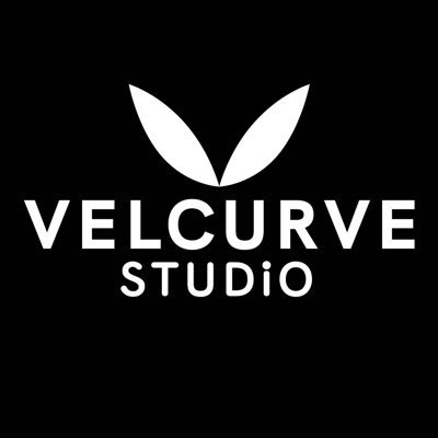VelCurveStudio's profile picture