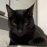 Profilbild von mathx64