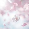 夜音 Yoru 的头像