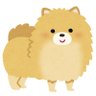 ぽむ's profile picture