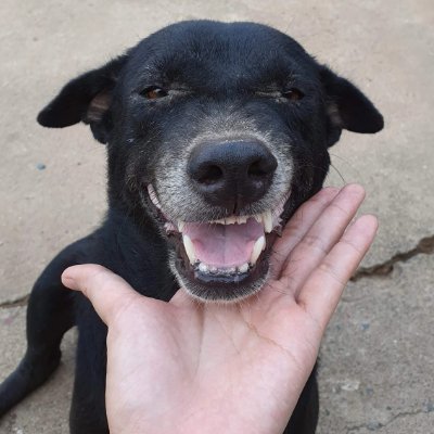 Mssmangosteen's profile picture