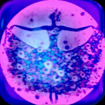 İçiBiYılbaşıAğacı 🎄's profile picture