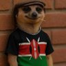 De Jose's profile picture