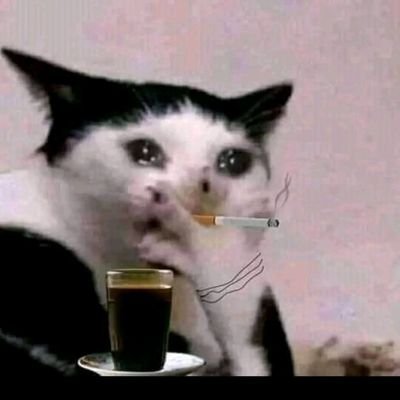 গর্ত চ্যাটার্জি's profile picture