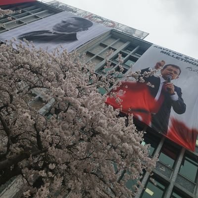 _imam1881_'s profile picture