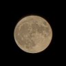 DreamWalker profil fotoğrafı