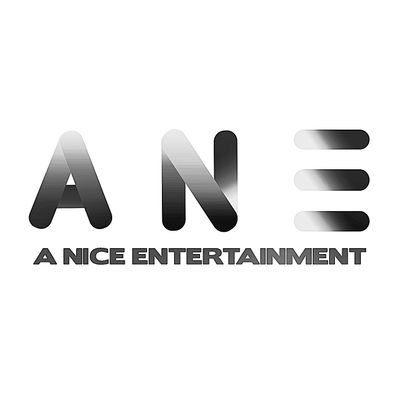 A Nice Entertainment's profile picture