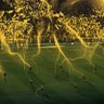 i See League profil fotoğrafı