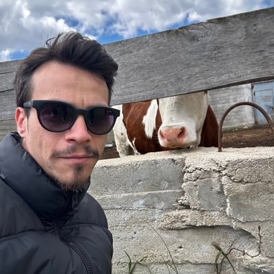 mahmut's profile picture