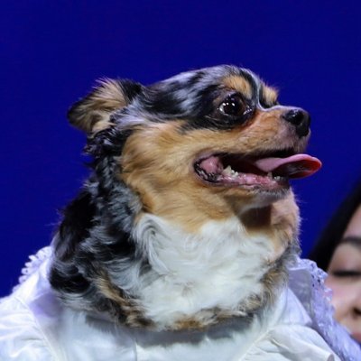 เ ค ม เ บ ะ's profile picture