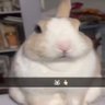 buny profil fotoğrafı