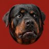 Profilbild von Armand