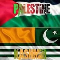 ᗰᗩᒎᎥᗪ #BringAafiaBack #SaveLebanon #SaveGaza's profile picture