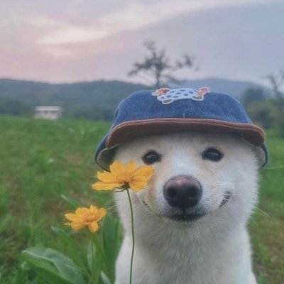 achhhuuu's profile picture