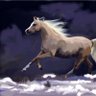 Hind profil fotoğrafı