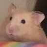 Caleb's profile picture
