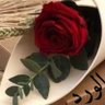 عبدالله's profile picture