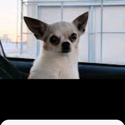 BanziZeigh's profile picture