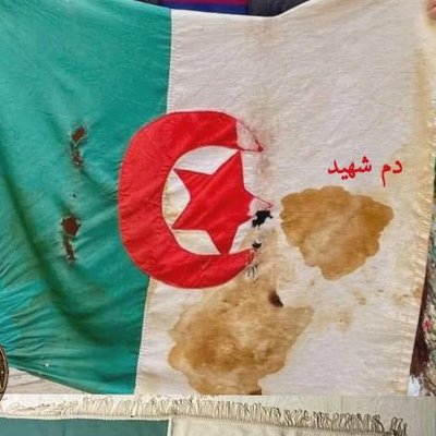ᘇᒧɹ̤ɺჲᒧl🇩🇿ρɹ̤ɹɹɹɹ̇ᒧl's profile picture