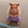 Profilbild von シナもも