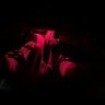D4nny Ingxx's profile picture