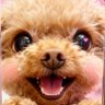 あさみん🍒 profil fotoğrafı