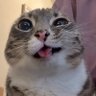 Profilbild von Berktuğ