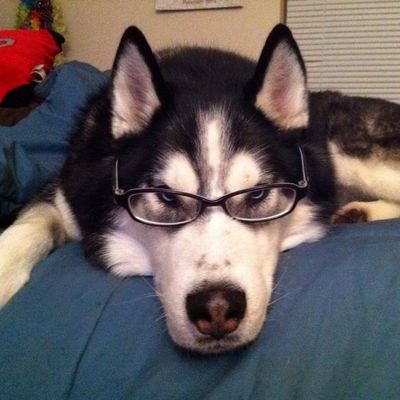 jjkkkc00kiee's profile picture