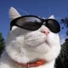 Ou profil fotoğrafı