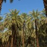 Фото профиля عبدالله سالم
