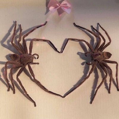 ijolmin's profile picture