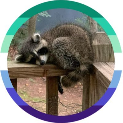BeanzBoiX3's profile picture
