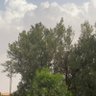 Фото профиля 💛💙