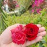 ⭐ Shagufta 💞 profil fotoğrafı
