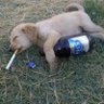 squezy's profile picture