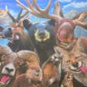 Profilbild von Richard Billock