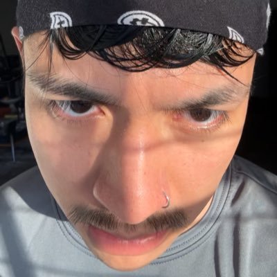 x's profile picture