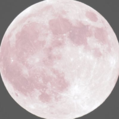 ✩ sarah's profile picture