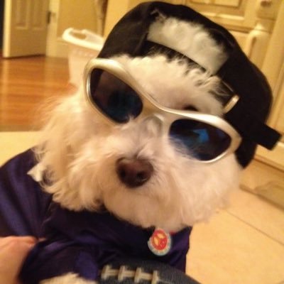 wtn 🎀 (slow)'s profile picture
