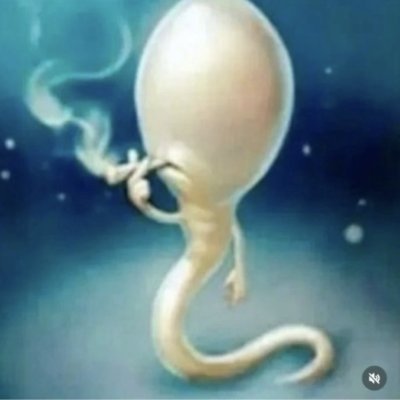 NgMQ's profile picture