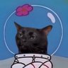 як я заєбався's profile picture