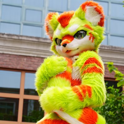zaizaidragon's profile picture
